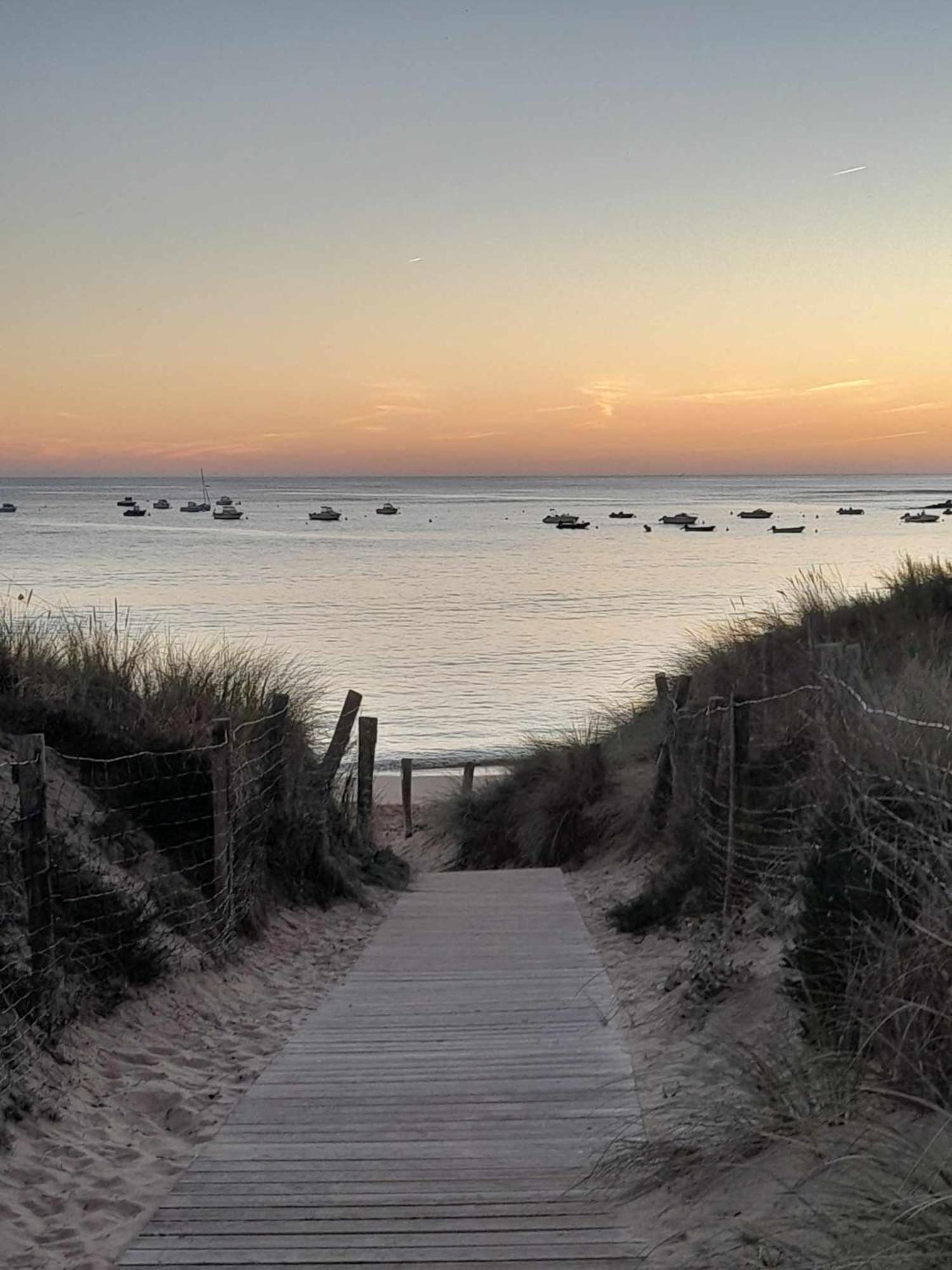 Appartement Aloha Ohana 4-6 Personnes A 400M De La Plage A Dolus D'Oleron Exteriér fotografie